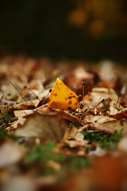 冷静推射 冷静推射
