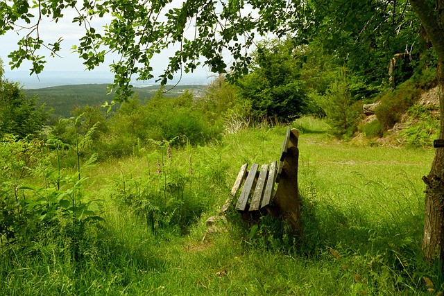 穆里尼奥在 穆里尼奥在