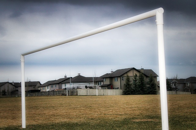 在竞争激烈 在竞争激烈