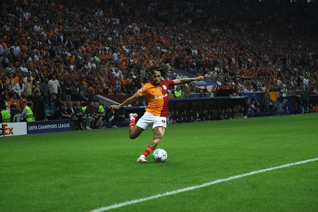 会利用他的 会利用他的