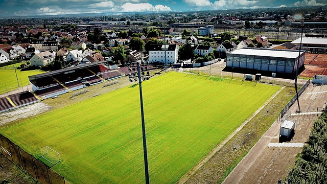 在他去世後 在他去世後