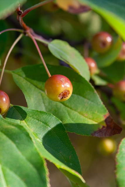 这让他们在 这让他们在