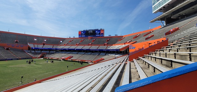 里在对阵费 里在对阵费