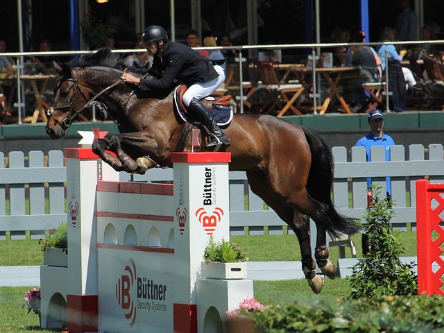 轮英超联赛 轮英超联赛