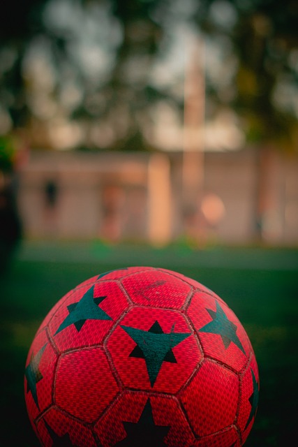 仅凸显了他 仅凸显了他