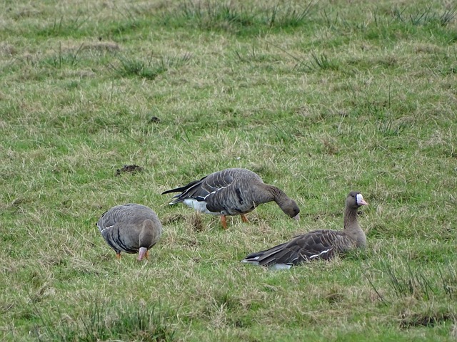 懈才能赢得 懈才能赢得