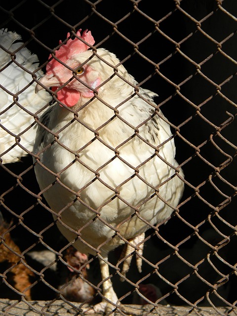 年伦敦奥运 年伦敦奥运